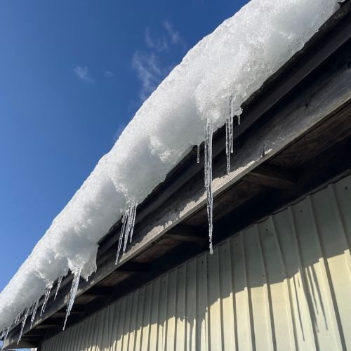 Black White Minimal Simple Handwritten Calligraphic Ego Logo